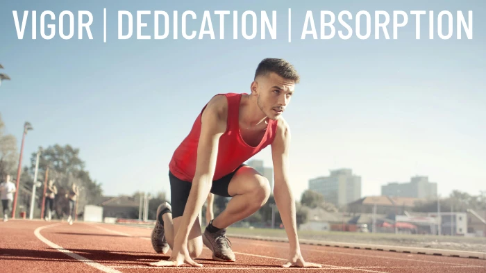 vigor, dedication, absorption qualities